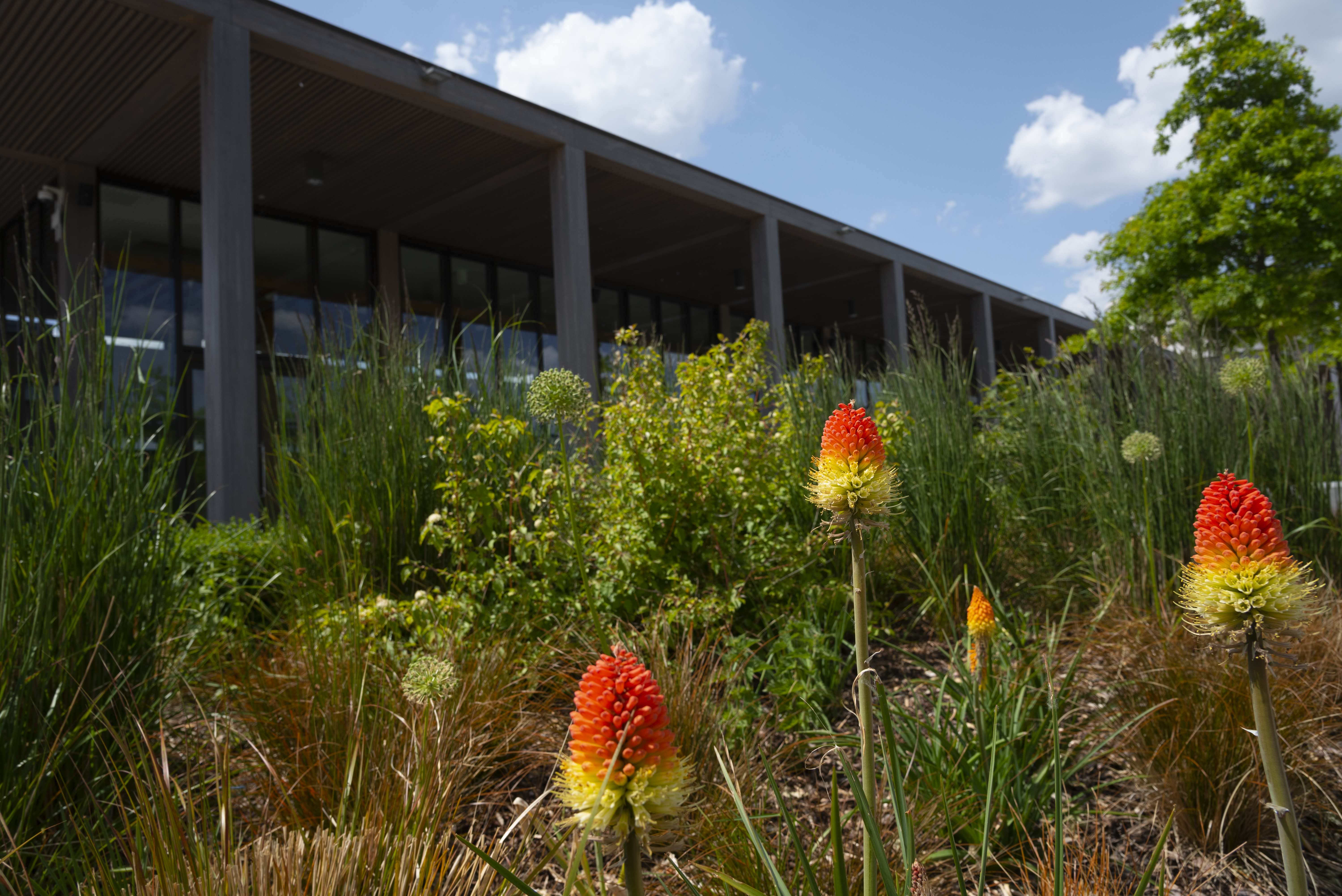 Remembrance Centre from Boyes Garden