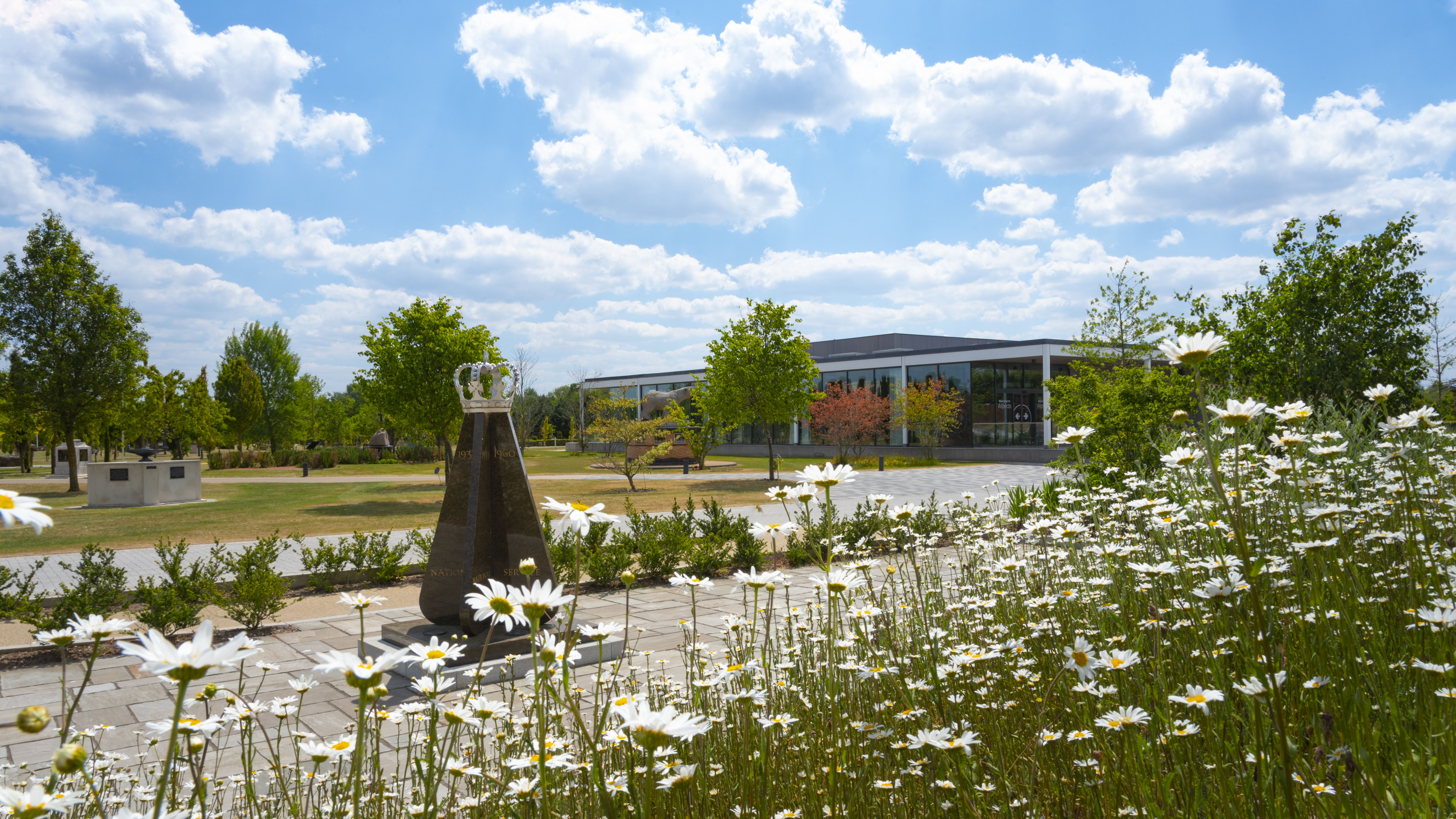 Daisies and National Service Association Memorial