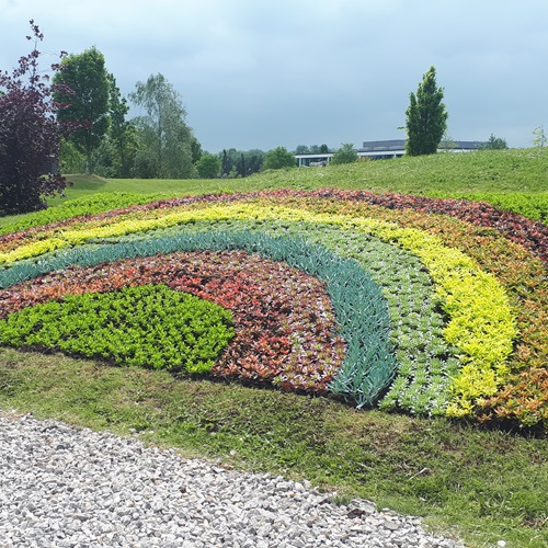 NHS Rainbow Bed planted at the National Memorial Arboretum