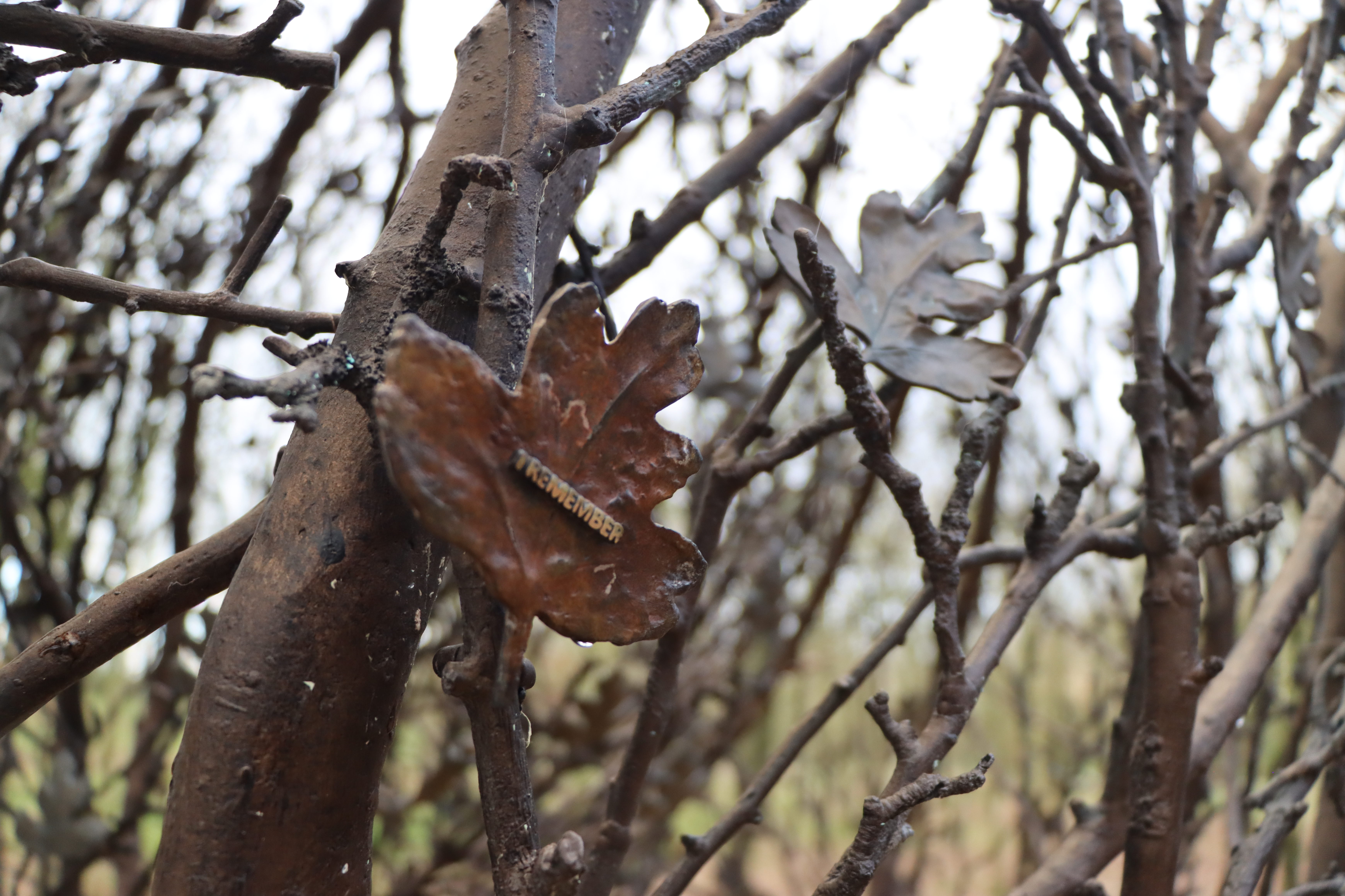 Tree of Cherished Memories leaf tribute hanging on the tree