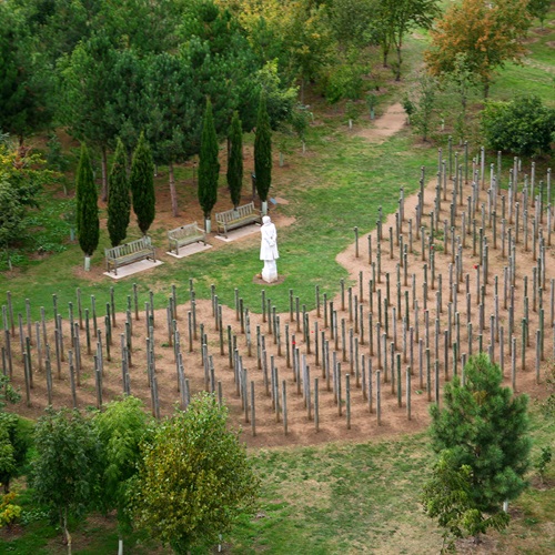 Image of the Shot at Dawn Memorial surrounded by trees captured by drone.