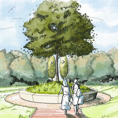 Sketch of the Trees of Life at the Arboretum